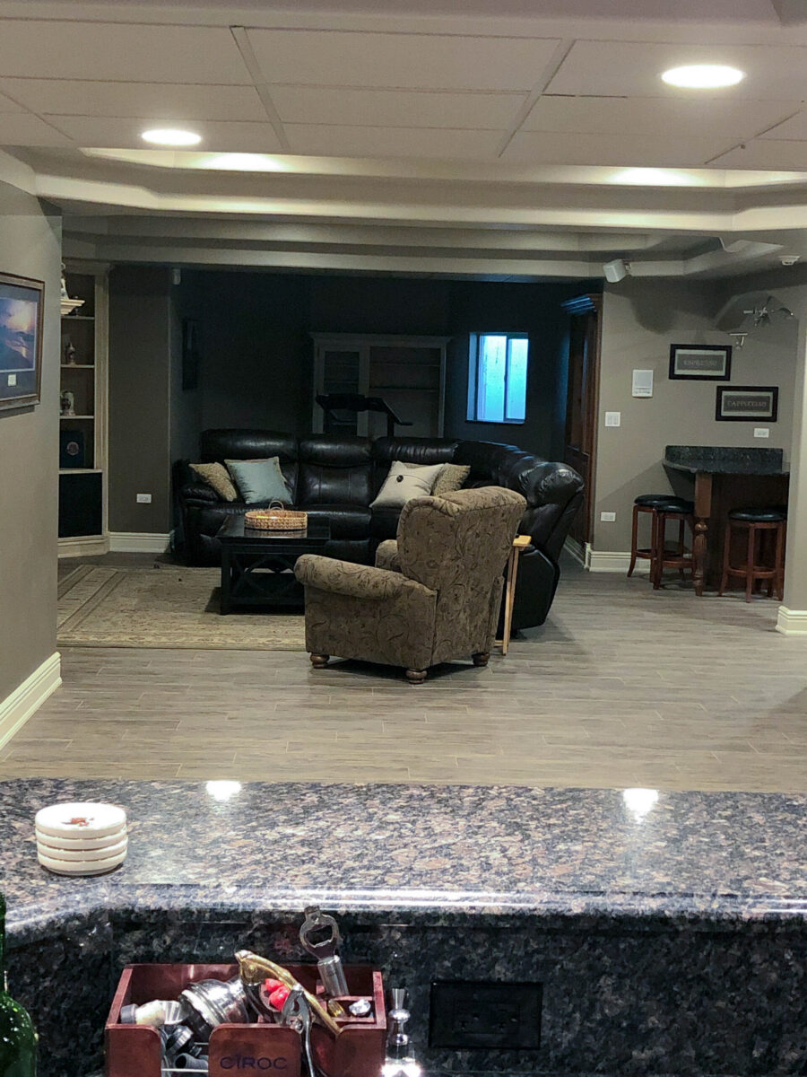 Traditional Style Basement Living Area